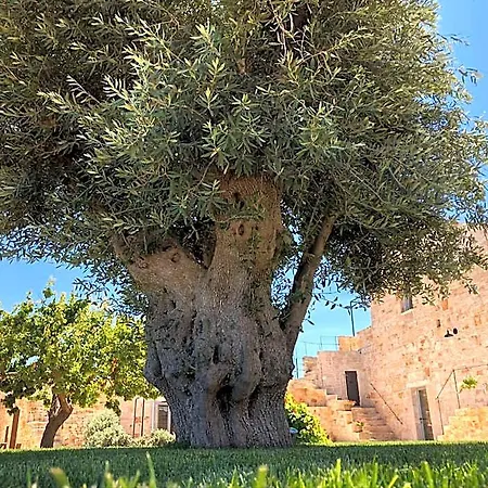 Hotell Augusta Trulli Monopoli
